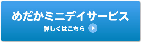 めだかミニデイサービス